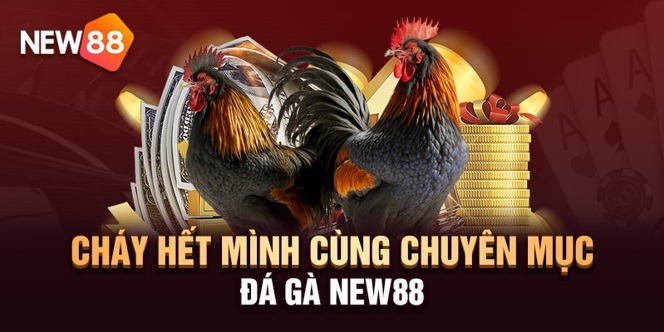 Thông Tin Nhà Cái NEW88 6 Sảnh đá gà NEW88 không nên bỏ lỡ